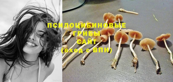mix Абаза
