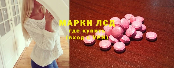 хмурый Белокуриха