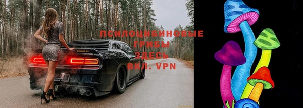 mix Абаза