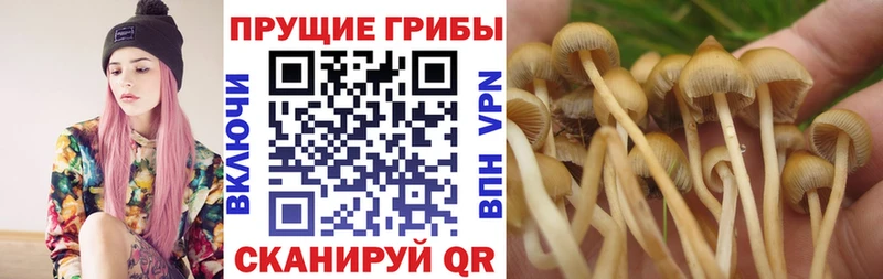 Псилоцибиновые грибы Psilocybe  даркнет формула  Алапаевск  MEGA ссылки 